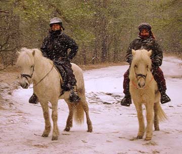 The Pine Barrens in winter is a quiet solitude of white. There's nothing quite like riding on freshly fallen snow!