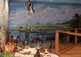 "Walk on the Wild Side", a diorama of local wildlife of the region.